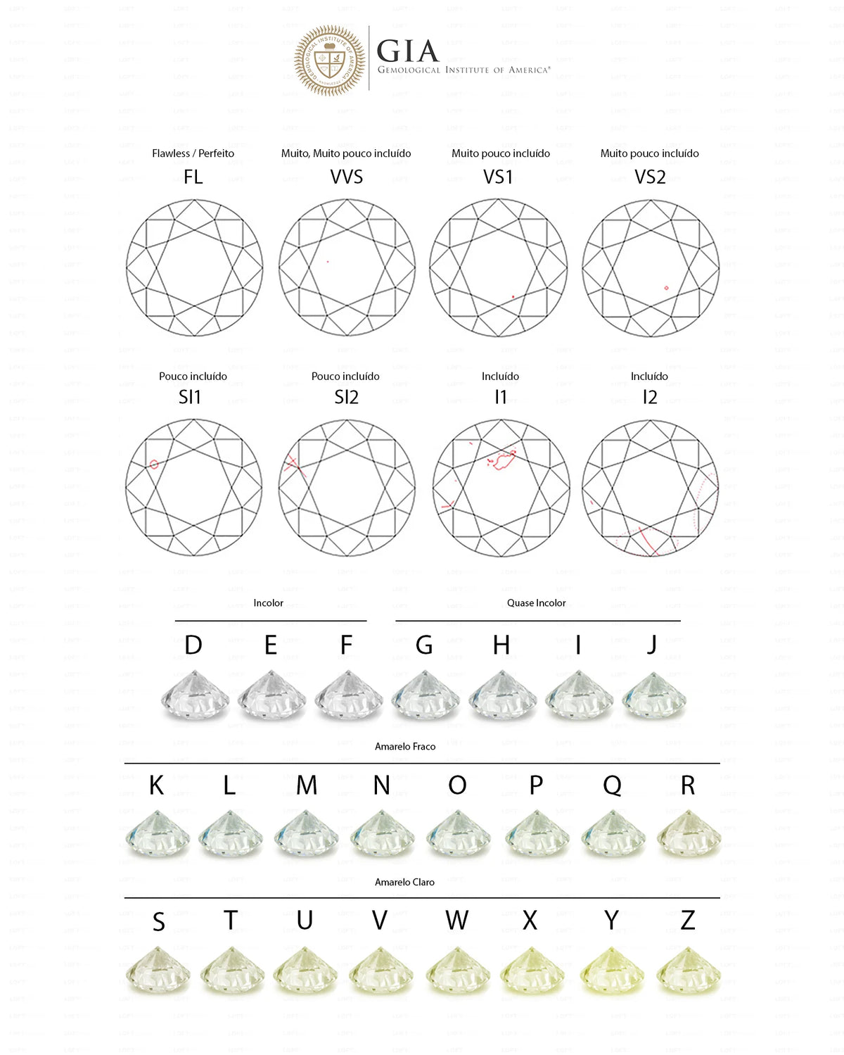 Loft Masculino size guide